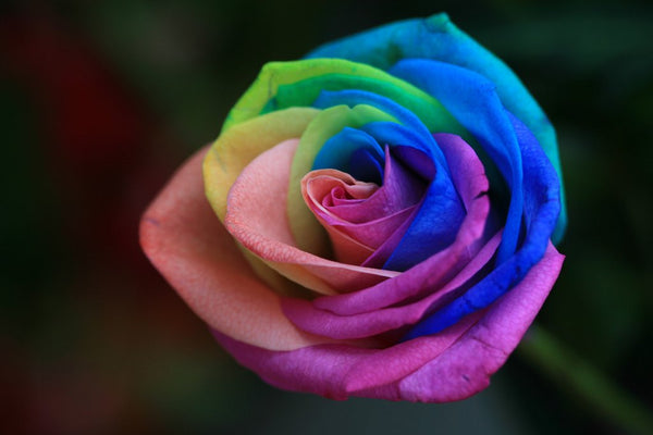 Rainbow Mix